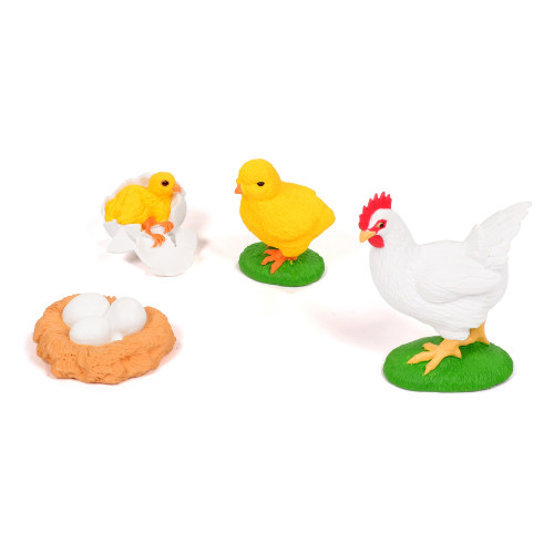 Early Excellence Shop - Life Cycle of a Chicken