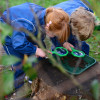 Investigating Nature Collection