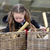 Large Rattan Basket