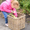 Large Rattan Basket