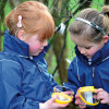 Set of Bug Jars & Magnifiers