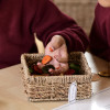 Set of Rectangular Seagrass Baskets