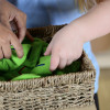 Set of Rectangular Seagrass Baskets